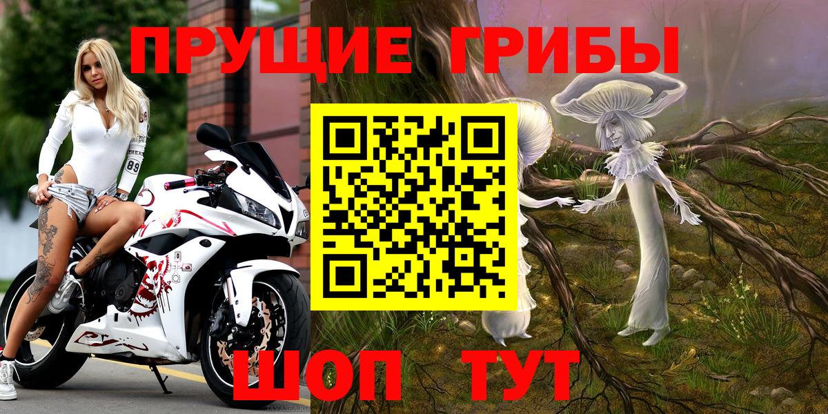 Галлюциногенные грибы Psilocybine cubensis  где найти   Карпинск  Галлюциногенные грибы прущие грибы  Вход с VPN 